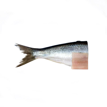 Aringa